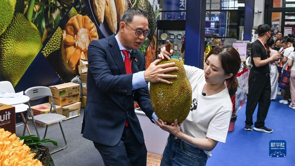 九州天下现金网